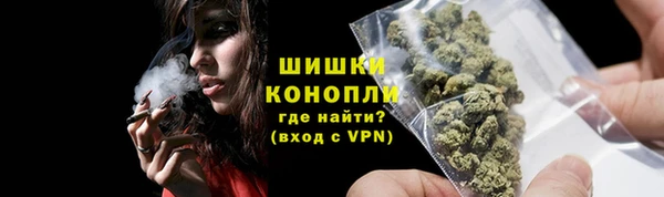 шишки Осташков