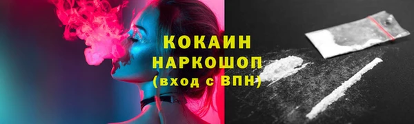 шишки Осташков