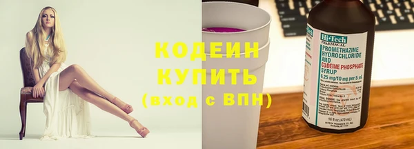 шишки Осташков