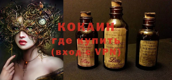 шишки Осташков