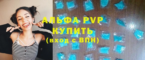 шишки Осташков