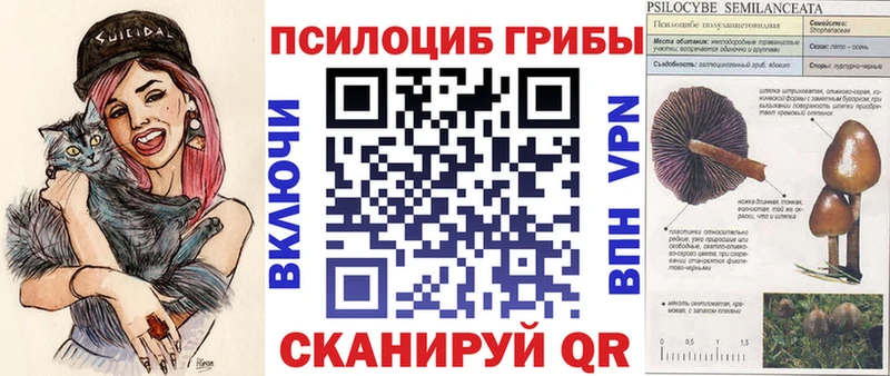 Псилоцибиновые грибы мицелий  купить наркотики сайты  Удомля 